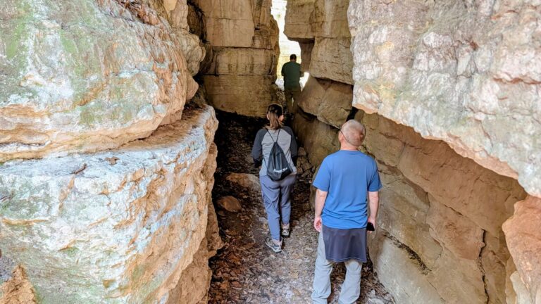 PXL_20260407_180958563~2